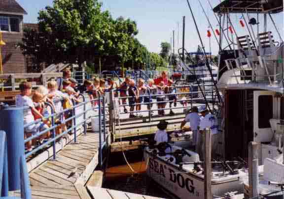 Sheboygan Wisconsin Charter Fishing Boats at Dock